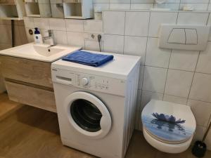 a bathroom with a washing machine and a sink at NEU Ferienwohnung im Nationalpark Bayrischer Wald in Neukirchen