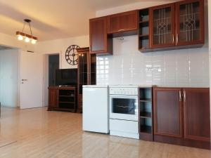Kuchyň nebo kuchyňský kout v ubytování Apartman Ika 9N