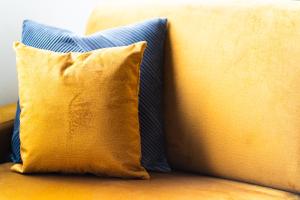 dos almohadas sentadas en la parte superior de un sofá en Élégant Studio proche de Paris et Disneyland, en Villemomble