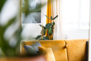 uma planta sentada em cima de um sofá com uma janela em Élégant Studio proche de Paris et Disneyland em Villemomble