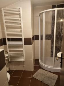 a bathroom with a shower with a glass door at Pension Max Klínovec in Loučná pod Klínovcem