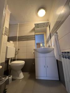 Ένα μπάνιο στο Apartment Croatia +10 φωτογραφίες