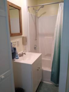 a bathroom with a sink and a shower and a tub at Quaint Cabin By The Creek Private in Pipestem