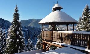 a gazebo with a snow covered roof on top of a snow covered at Hotel Sepetná in Ostravice
