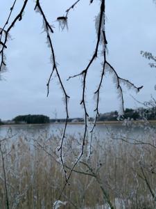 Gallery image of Tamminiemen Lomamökit in Kustavi