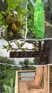 dos fotos de un banco de madera en un jardín en hijau, en Tjakranegara