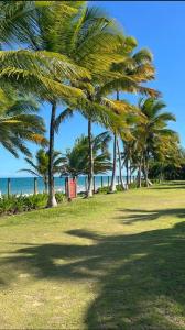 un grupo de palmeras en un campo con el océano en Casa de Praia em condomínio, en Vera Cruz de Itaparica