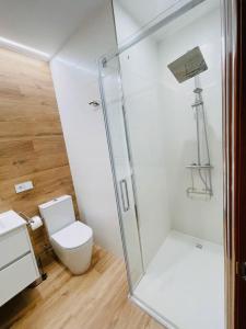 uma casa de banho com um WC e uma cabina de duche em vidro. em Casa Paradela Sanxenxo em Pontevedra