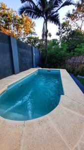 una pequeña piscina en un patio trasero con una palmera en Casa confortable con pileta para 2 personas - Rincón Posadas en Posadas