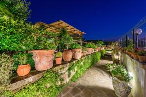 a row of potted plants on a wall at B&B La Casa Nel Giardino in Piano di Sorrento