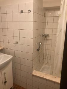 札茨萊日的住宿－Chaloupka，带淋浴和浴帘的浴室