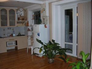 een keuken met een koelkast en een plant in een kamer bij Apartments Arhitektora Artynova in Vinnytsya