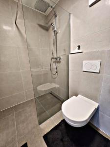 y baño con ducha y aseo. en Lions Place Premium Apartments COMFORT optionaler Zugang zum SPA- Bereich, en Heidenheim an der Brenz