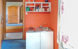 ザールフェルデン・アム・シュタイナーネン・メアーにあるBeautiful Apartment In Saalfelden With Wifiのオレンジ色の壁の小さなキッチン(シンク付)
