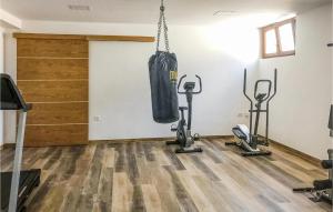um ginásio com máquinas e um saco de boxe pendurado na parede em Amazing Apartment In Pula With Outdoor Swimming Pool em Pula