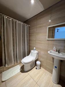 a bathroom with a toilet and a sink at Hostal Sur Y Magia in Coihaique