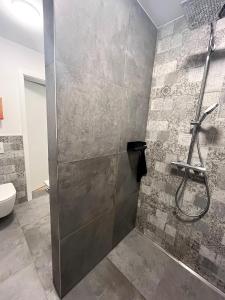 a shower stall in a bathroom with a toilet at Wohnung am Wald in Geisa
