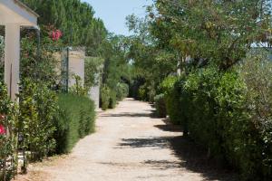 Zahrada ubytování Camping Cala dei Ginepri