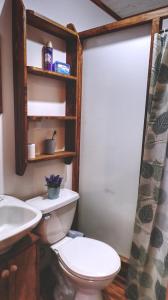 a bathroom with a toilet and a sink at Cabaña Los Mañios in Puerto Montt