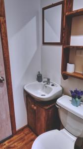 a bathroom with a sink and a toilet at Cabaña Los Mañios in Puerto Montt