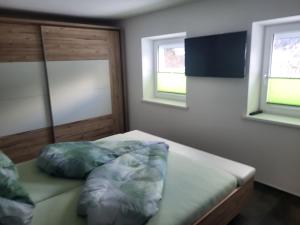 ein Schlafzimmer mit einem Bett und zwei Fenstern in der Unterkunft Apart Bergluft in Pfunds