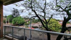 Elle comprend un balcon offrant une vue sur un arbre. dans l'établissement Deptos Bajo la Viña, à San Salvador de Jujuy