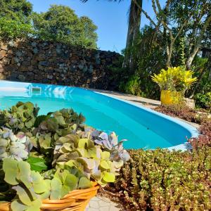 um cesto de plantas junto a uma piscina em La Petite France em Nova Petrópolis