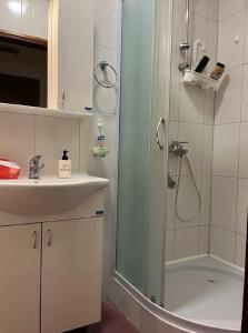 a bathroom with a shower and a sink at Kristina NS in Novi Sad