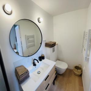 uma casa de banho com um lavatório, um espelho e um WC. em Appartement Chaleureux en Hyper Centre à Lille em Lille
