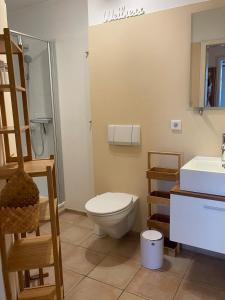 a bathroom with a toilet and a sink at Deichhof Whg 23 in Dunsum