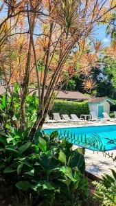 una piscina con sillas y un árbol al lado en Hotel e Pousada Canto Mágico, en Maresias