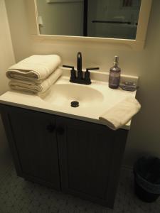 un lavandino in bagno con asciugamani e specchio di Restoration - Private Spa And Great Location! a Frankfort Altre 34 foto