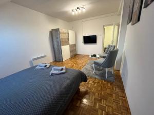 um quarto com uma cama, uma cadeira e uma televisão em Vlasic Apartmani CENTAR em Vršac