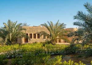 une maison avec des palmiers devant dans l'établissement Dehiba Siwa Resort, à Siwa
