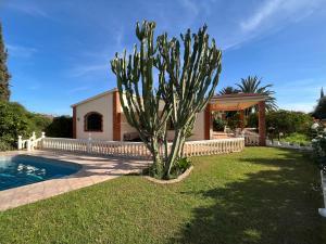 un cactus in un cortile accanto alla piscina di Tiguimi Vacances - Oasis Villas, cadre naturel et vue montagne ad Agadir