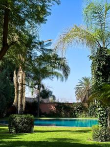 a resort with a swimming pool and palm trees at Peaceful Apartment: Hivernage,Guéliz in Marrakesh