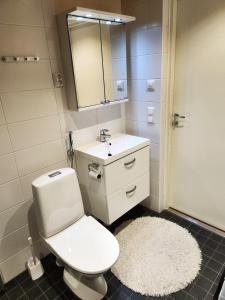 ein Badezimmer mit einem WC, einem Waschbecken und einem Spiegel in der Unterkunft Tasokas 2 h + k + s Söderkullassa - huikeat näköalat in Sipoo
