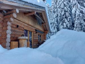 Ferienhaus - Chalet - Lechtraum during the winter