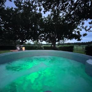 a pool filled with green water with a tree in the background at Beech shepherds hut in York