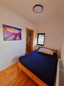 een slaapkamer met een blauw bed in een kamer bij Snowman Apartments in Kupres