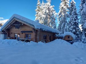 Ferienhaus - Chalet - Lechtraum during the winter