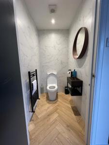 een badkamer met een toilet, een wastafel en een spiegel bij Nevis Croft Apartment 2 in Fort William +14 foto's