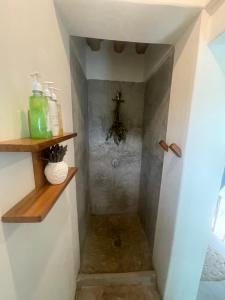 a walk in shower in a bathroom at Wander Boutique Hotel in El Paredón Buena Vista