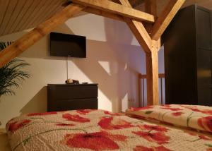 TV a/nebo společenská místnost v ubytování Hof am Meer "Seerose"