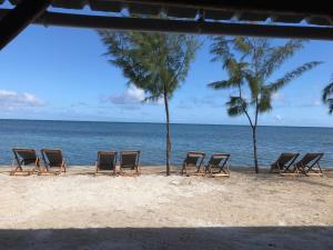 eine Reihe von Liegestühlen und Palmen am Strand in der Unterkunft Bon Vivant Front de Mer - Ile Rodrigues in Rodrigues Island