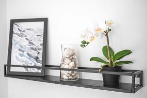 Fotografie z fotogalerie ubytování Almarea B&B Trani v destinaci Trani