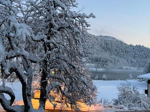 Příroda nedaleko aparthotelu + 12 fotografií