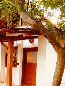 a house with a tree branch next to a door at Little Things Earth - Pine villa in Auroville