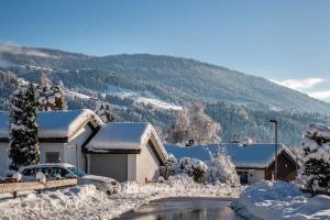 a house covered in snow with a car parked next to it at Haus Edelweiß in Schlucht