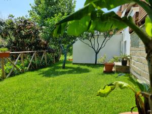 a yard with green grass and trees and a building at APPARTAMENTO VILLA MARIA in Rome